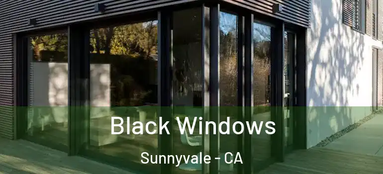  Black Windows Sunnyvale - CA