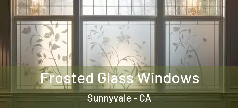  Frosted Glass Windows Sunnyvale - CA