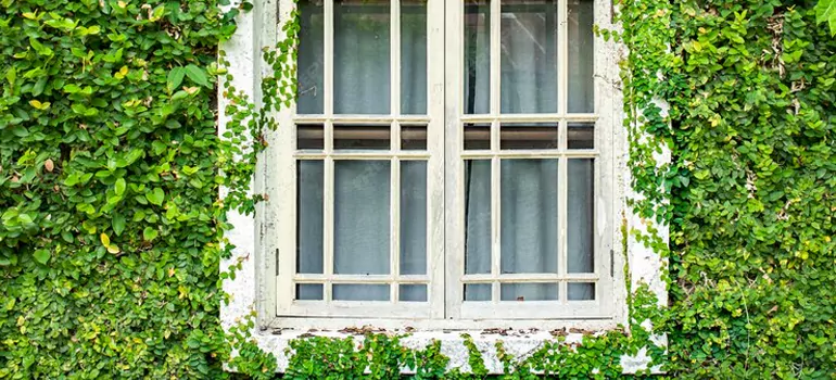 Garden Window Repair Near Me in Sunnyvale, CA