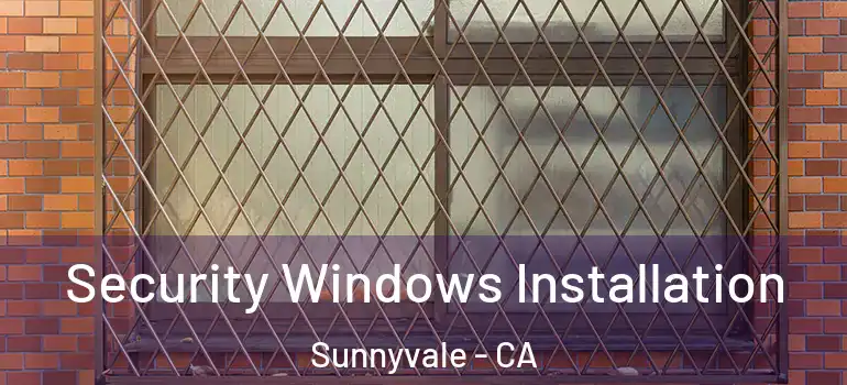  Security Windows Installation Sunnyvale - CA