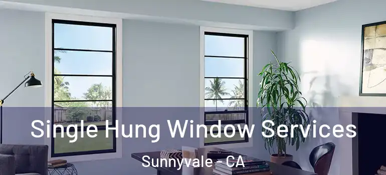  Single Hung Window Services Sunnyvale - CA