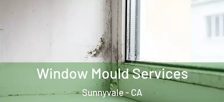  Window Mould Services Sunnyvale - CA